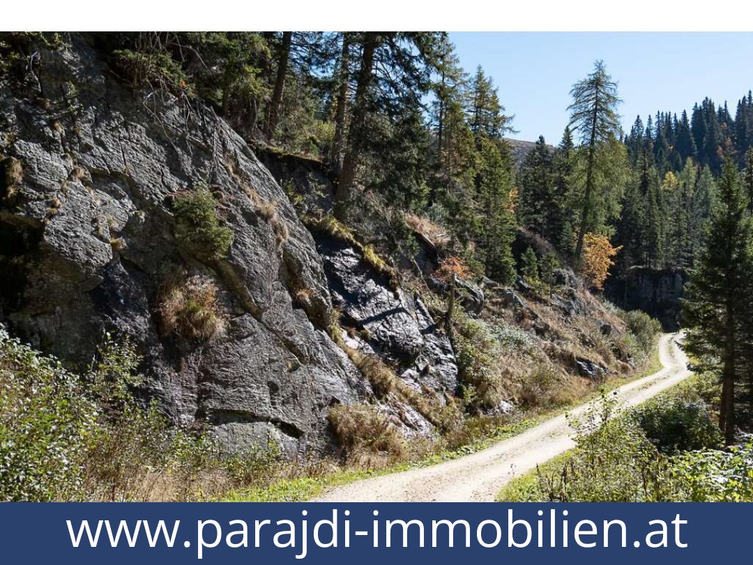 austria-homes-st. gertraud-9413-20251011121759-0034901019.jpg austria-homes-st. gertraud-9413-20251011121759-0034901019.jpg